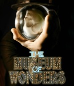 The Museum Of Wonders