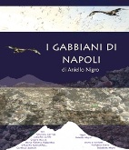 I gabbiani di Napoli