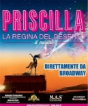 Priscilla la Regina del Deserto