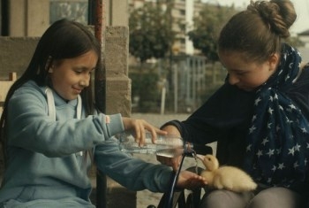 “Les oiseaux de passage&quot; – Belgio, di Olivier Ringer. Francofilm, Festival del cinema francofono di Roma